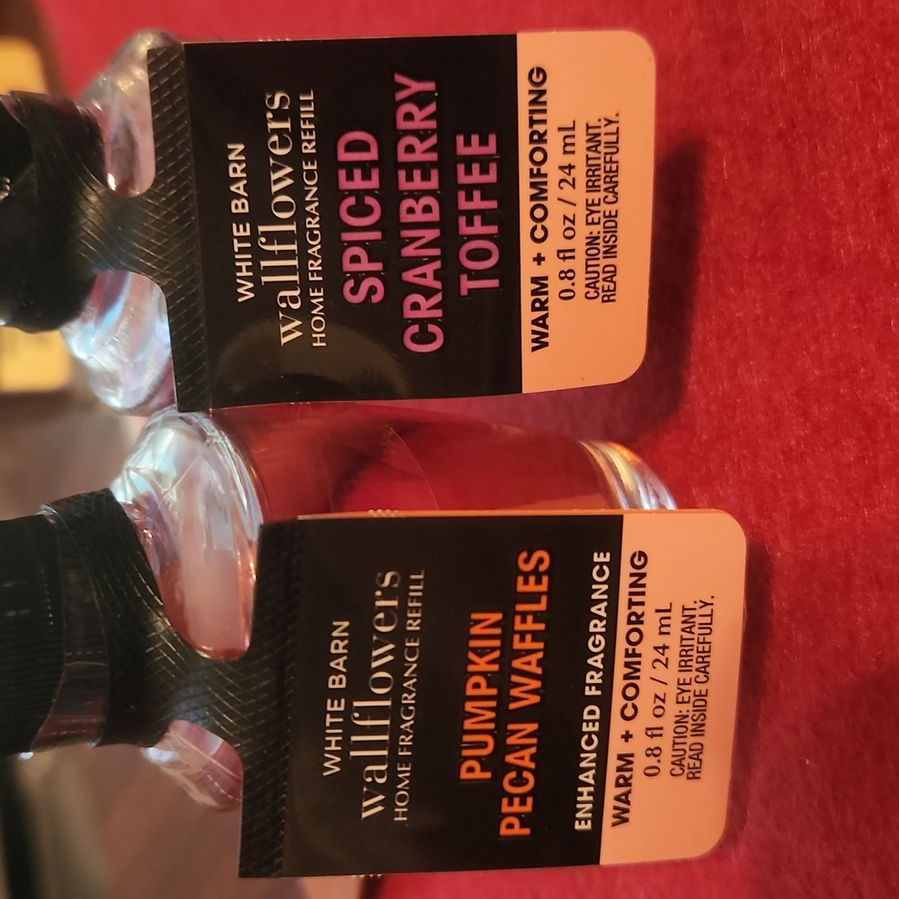 NWT 2pk Wallflowers